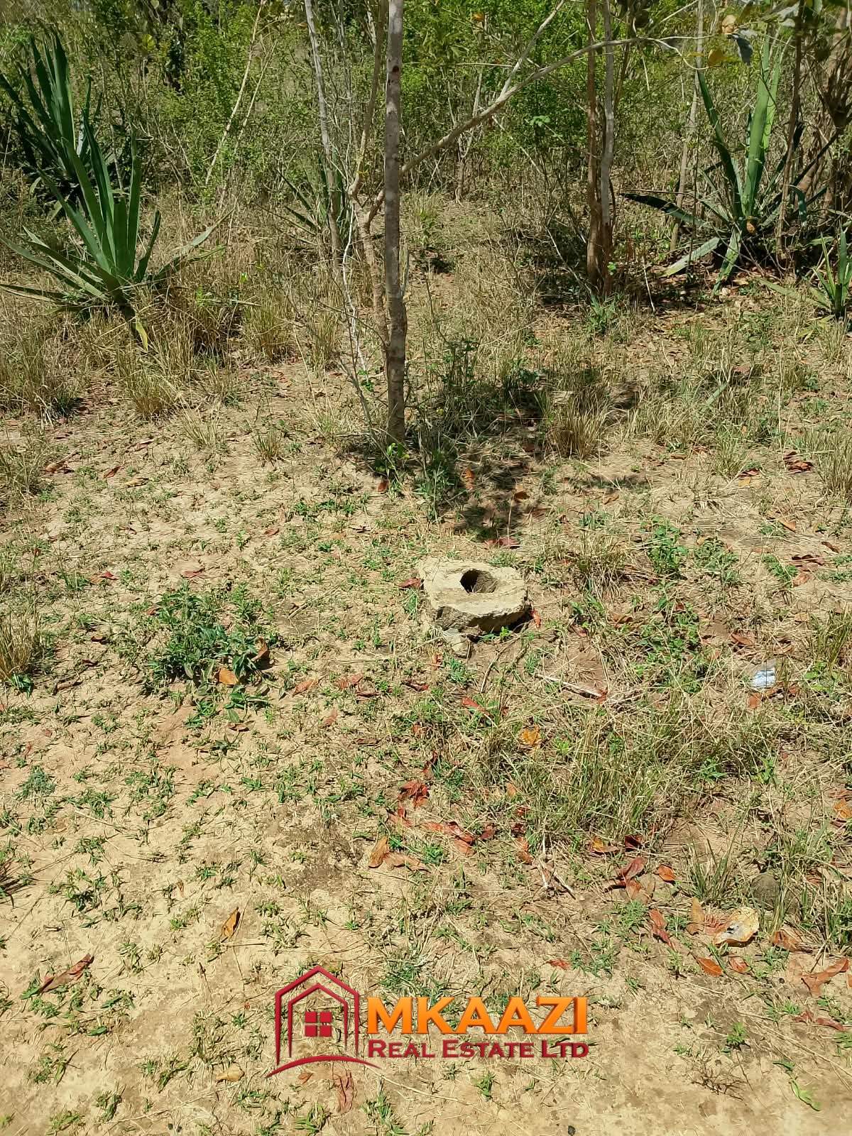 1/8 Acre Plots for Sale in Kanyariri, Embu – KSh 550,000