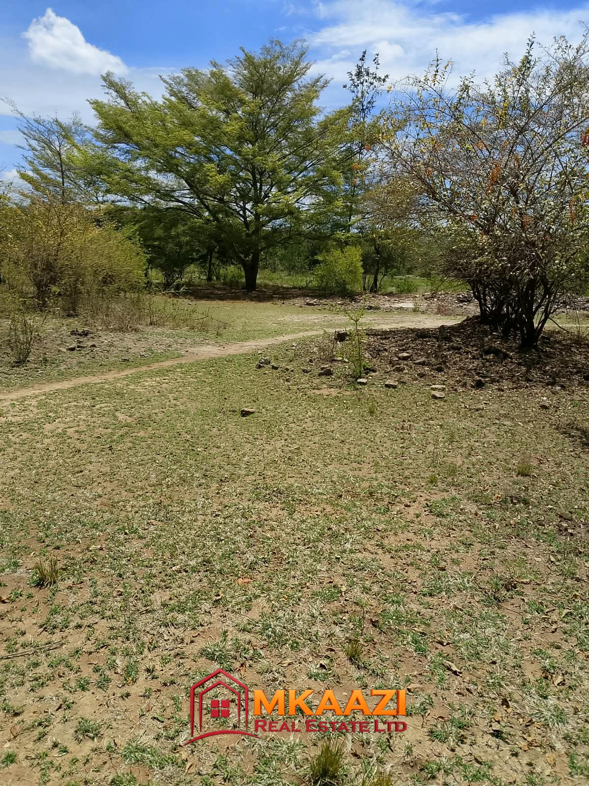 Loamy agricultural land for sale in Kanyariri near Embu–Siakago Road.
