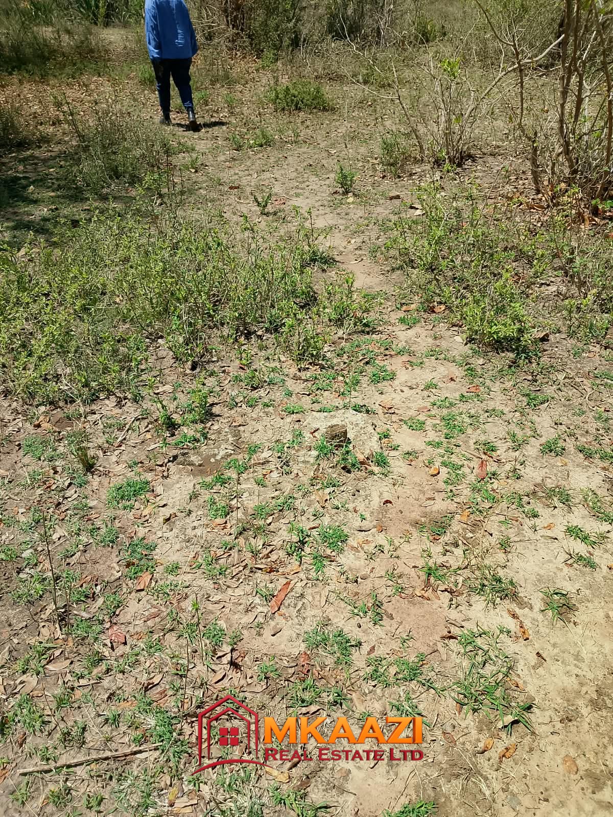 Affordable land in Embu with electricity and EWASCO piped water available.
