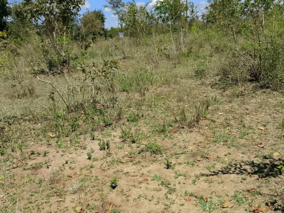 1/8 Acre Plots for Sale in Kanyariri, Embu – KSh 550,000