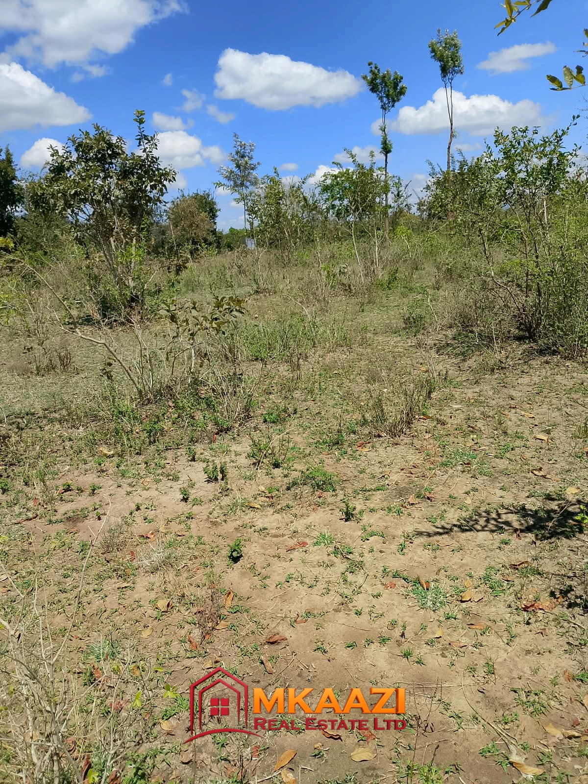 1/8 Acre Plots for Sale in Kanyariri, Embu – KSh 550,000