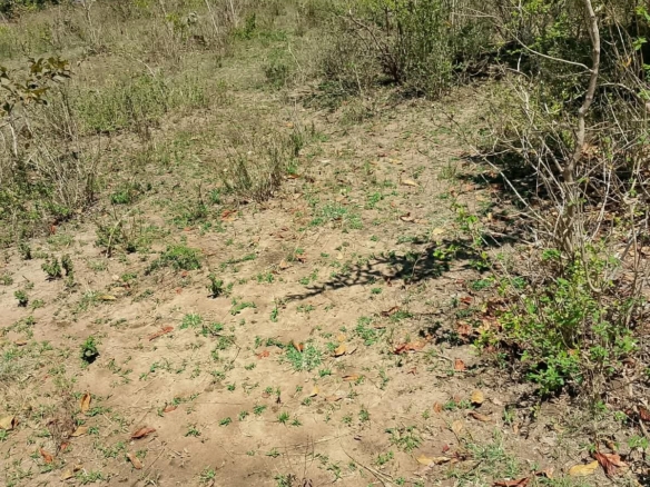 1/8 Acre Plots for Sale in Kanyariri, Embu – KSh 550,000