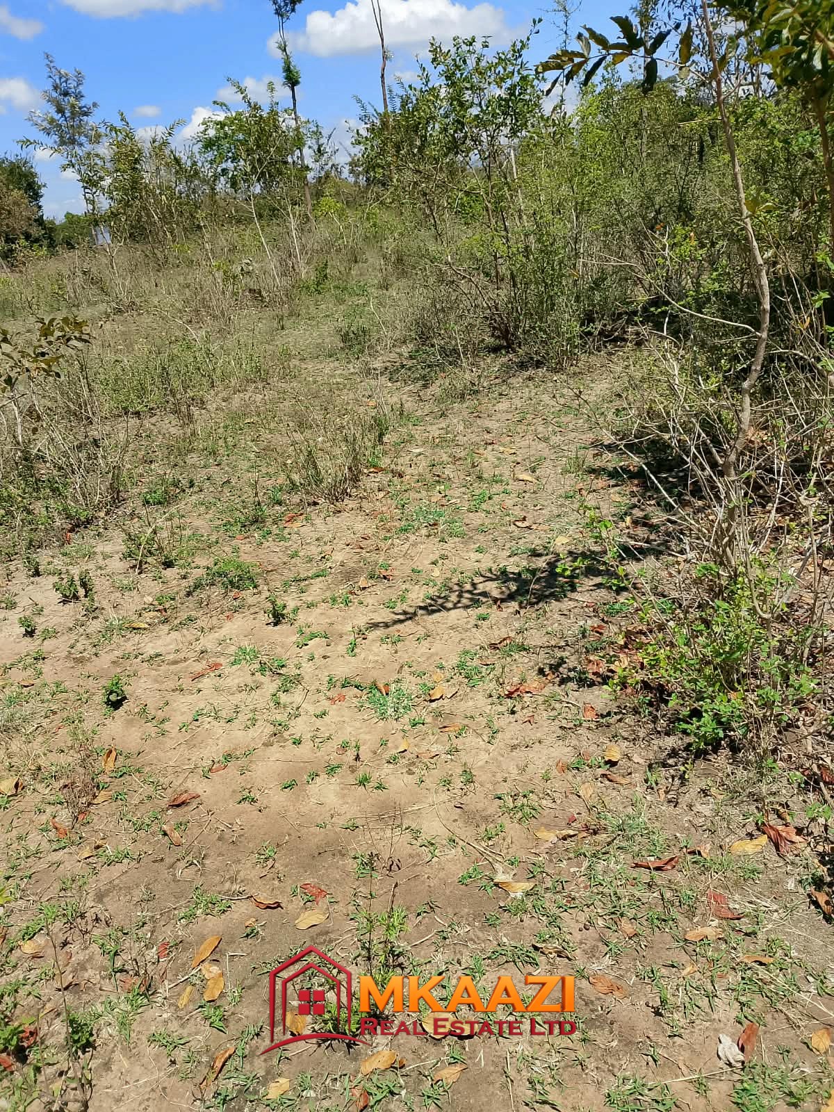 1/8 Acre Plots for Sale in Kanyariri, Embu – KSh 550,000