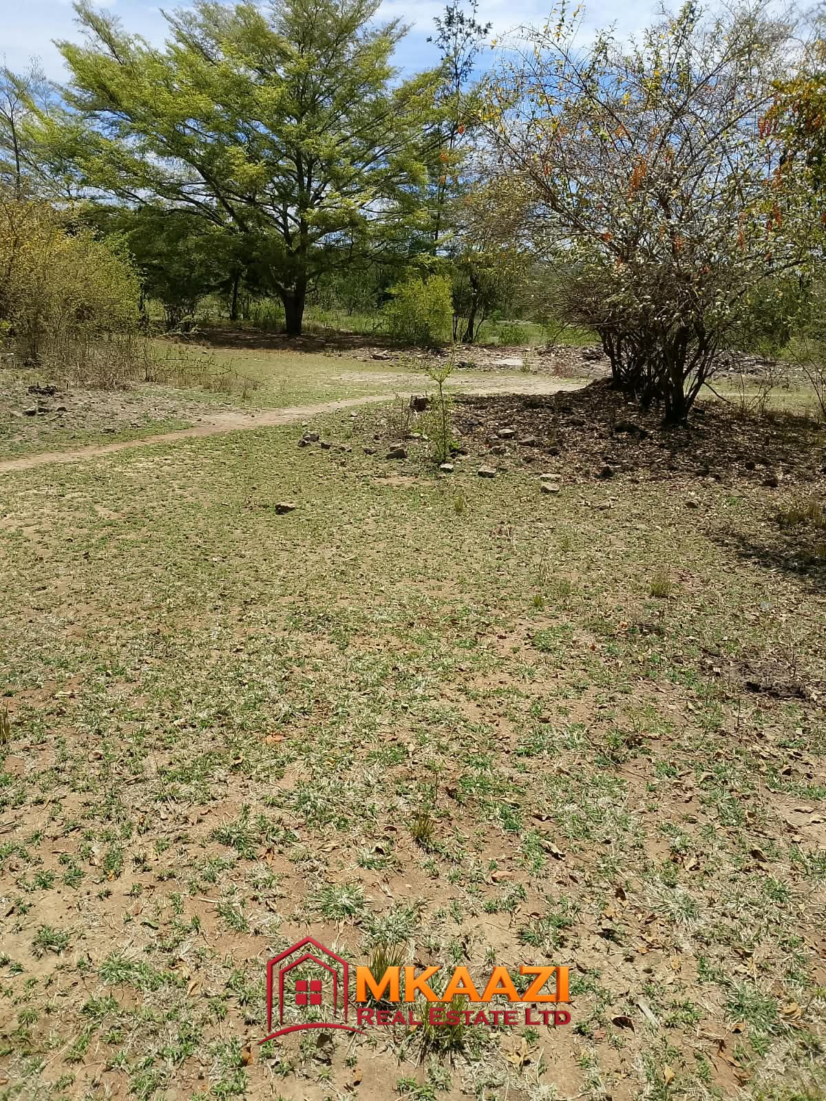 Two 1/8-acre plots for sale in Kanyariri, Embu County.