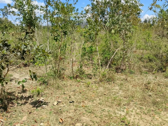 1/8 Acre Plots for Sale in Kanyariri, Embu – KSh 550,000