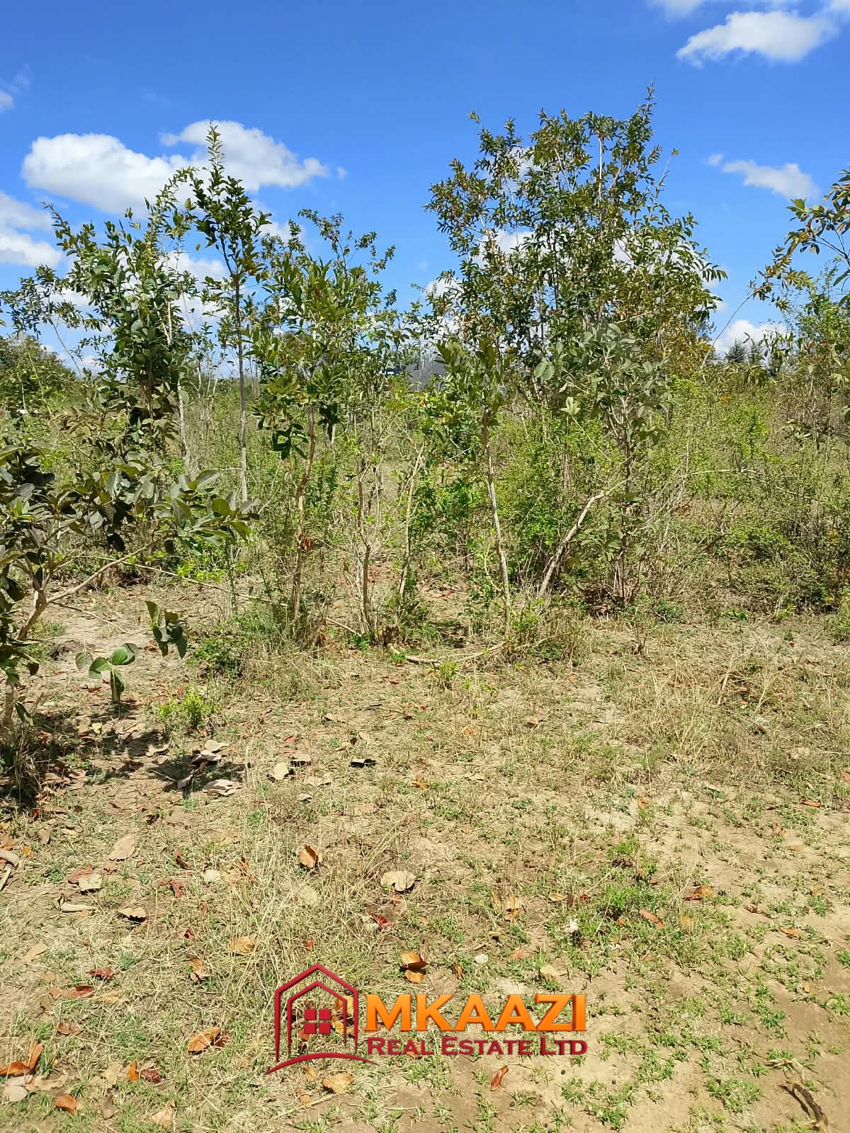 1/8 Acre Plots for Sale in Kanyariri, Embu – KSh 550,000