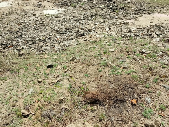 1/8 Acre Plots for Sale in Kanyariri, Embu – KSh 550,000