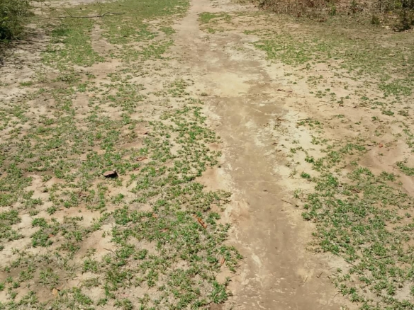 Affordable 1/8-acre plot for sale along Embu–Siakago Road, Kanyariri.