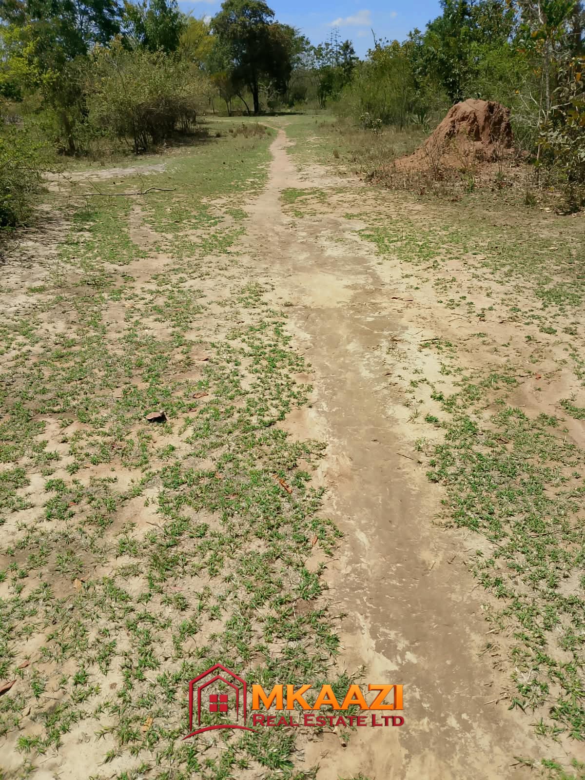 Affordable 1/8-acre plot for sale along Embu–Siakago Road, Kanyariri.