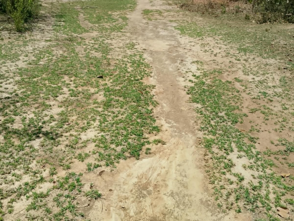1/8 Acre Plots for Sale in Kanyariri, Embu – KSh 550,000
