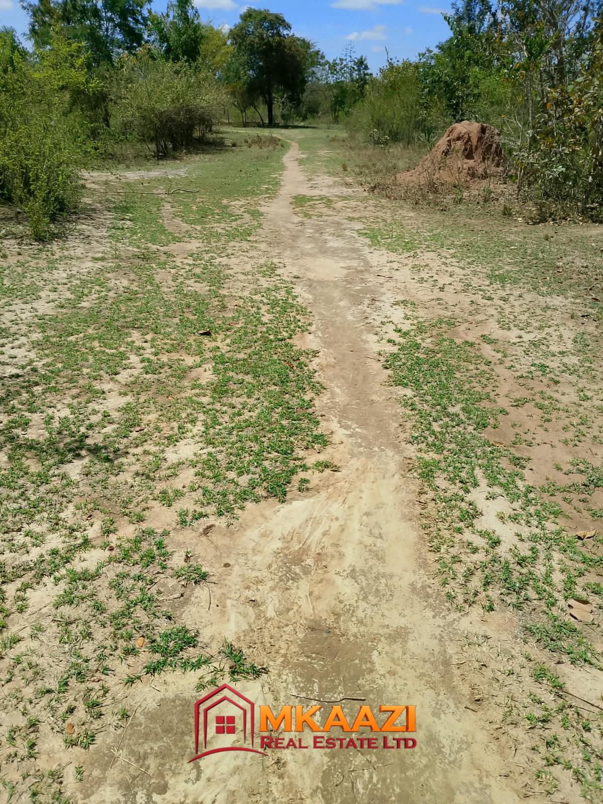 1/8 Acre Plots for Sale in Kanyariri, Embu – KSh 550,000