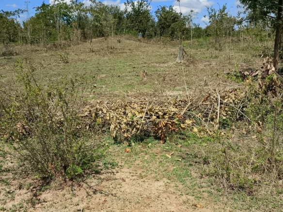 1/8 Acre Plots for Sale in Kanyariri, Embu – KSh 550,000