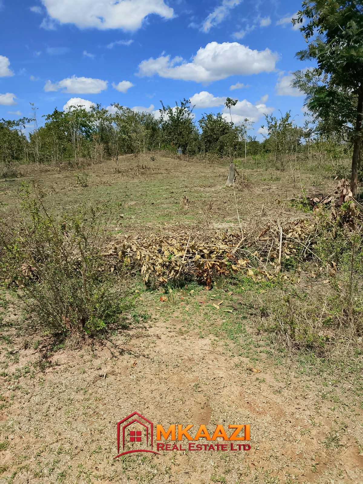 1/8 Acre Plots for Sale in Kanyariri, Embu – KSh 550,000