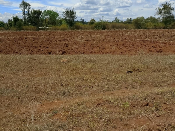 Commercial Quarter-Acre Plot for Sale in Gachoka, Embu – KSh 650,000