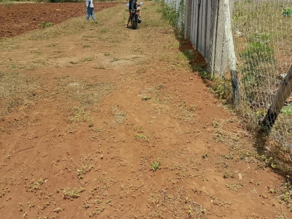 Red soil quarter-acre plot in Gachoka, Mbeere South, Embu.