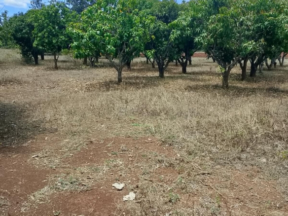 Commercial Quarter-Acre Plot for Sale in Gachoka, Embu – KSh 650,000