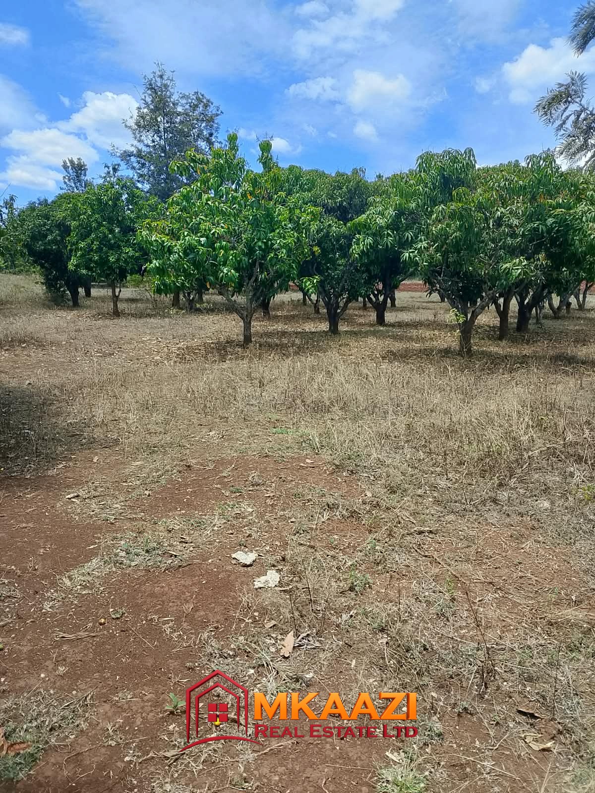 Commercial Quarter-Acre Plot for Sale in Gachoka, Embu – KSh 650,000
