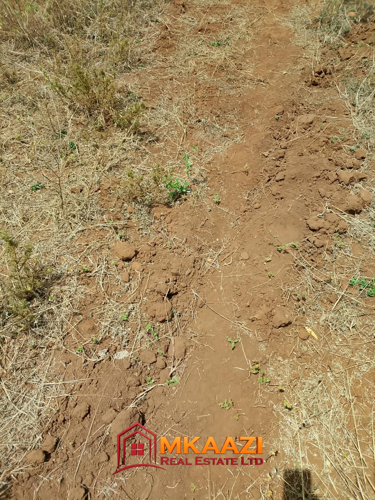 Commercial Quarter-Acre Plot for Sale in Gachoka, Embu – KSh 650,000