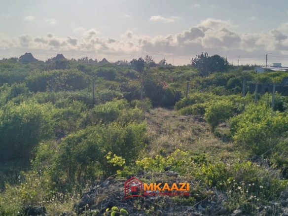 Prime 0.40-Hectare Coral Plot for Sale in Watamu Near Mawe Zuri – Third Row from the Beach