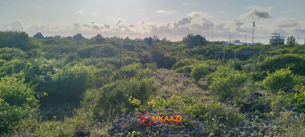 Prime 0.40-Hectare Coral Plot for Sale in Watamu Near Mawe Zuri – Third Row from the Beach