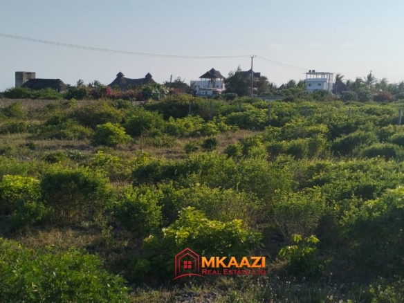 Prime 0.40-Hectare Coral Plot for Sale in Watamu Near Mawe Zuri – Third Row from the Beach