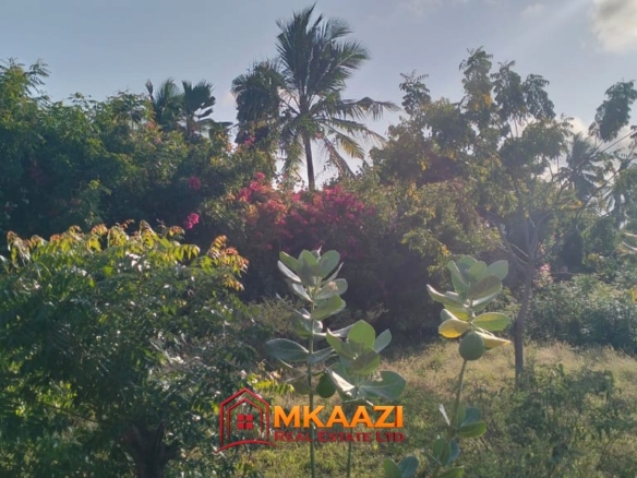 Excellent Quarter-Acre Plot for Sale in Watamu, Kilifi North