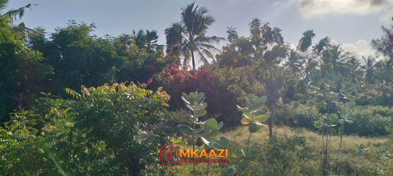 Quater Acre (1) Excellent Quarter-Acre Plot for Sale in Watamu, Kilifi North