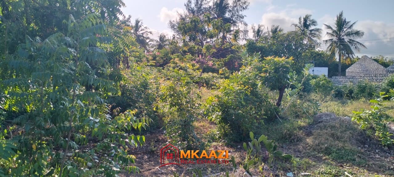 quarter-acre plot for sale in Watamu, Kilifi North