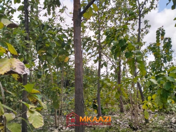 Affordable Quarter-Acre Plots for Sale in Kakuyuni, Malindi – KSh 950,000