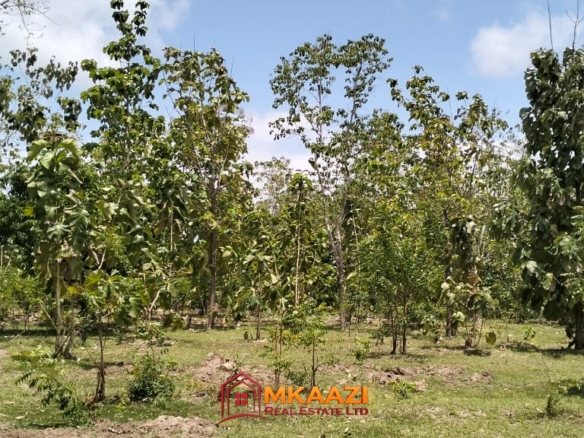 Affordable Quarter-Acre Plots for Sale in Kakuyuni, Malindi – KSh 950,000