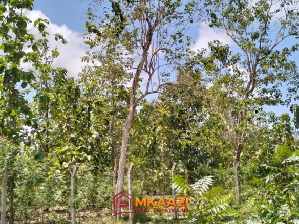 Affordable Quarter-Acre Plots for Sale in Kakuyuni, Malindi – KSh 950,000