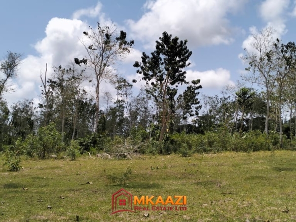 Affordable Quarter-Acre Plots for Sale in Kakuyuni, Malindi – KSh 950,000