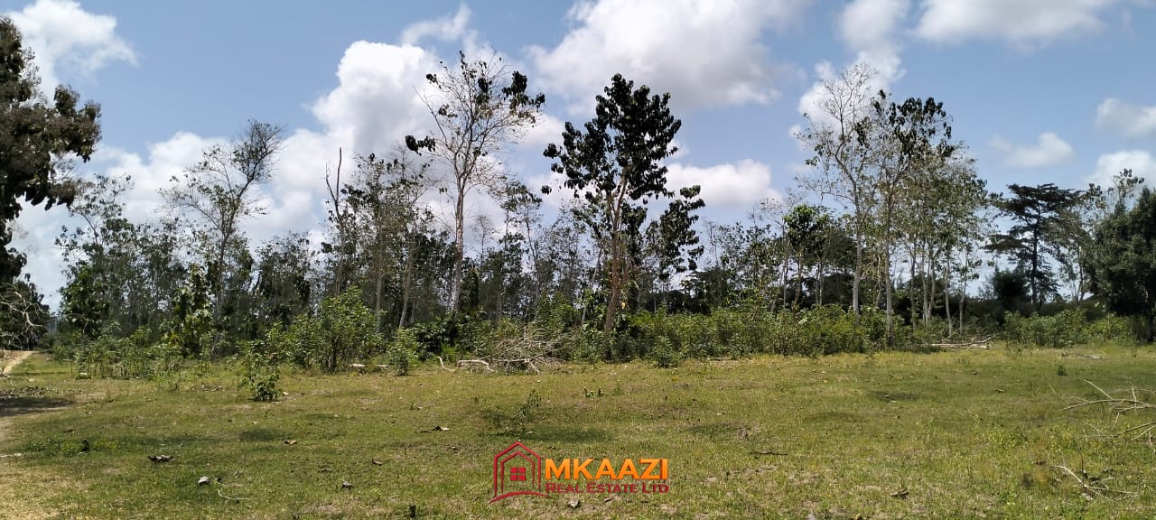 Quater Acre Kakuyuni (5) Affordable Quarter-Acre Plots for Sale in Kakuyuni, Malindi – KSh 950,000