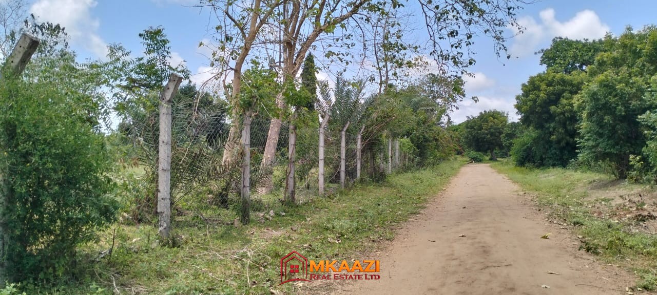 Quater Acre Kakuyuni (6) Affordable Quarter-Acre Plots for Sale in Kakuyuni, Malindi – KSh 950,000