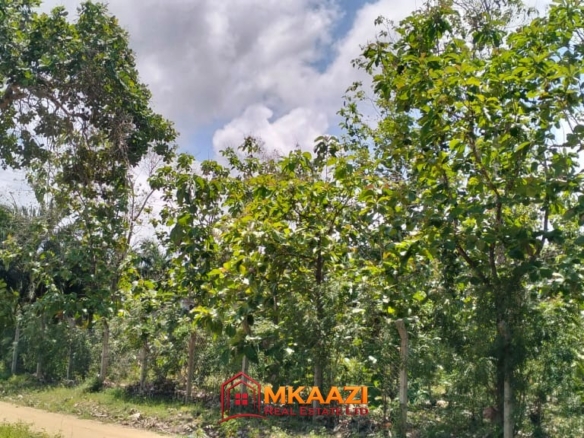 Affordable Quarter-Acre Plots for Sale in Kakuyuni, Malindi – KSh 950,000