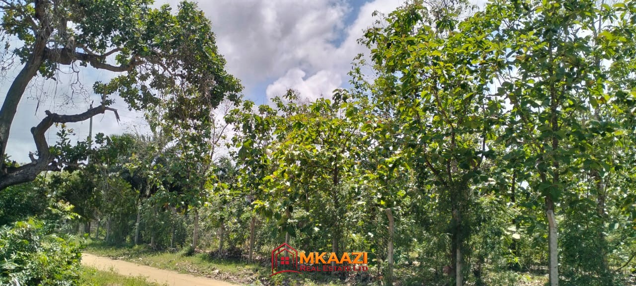 Quater Acre Kakuyuni (7) Affordable Quarter-Acre Plots for Sale in Kakuyuni, Malindi – KSh 950,000