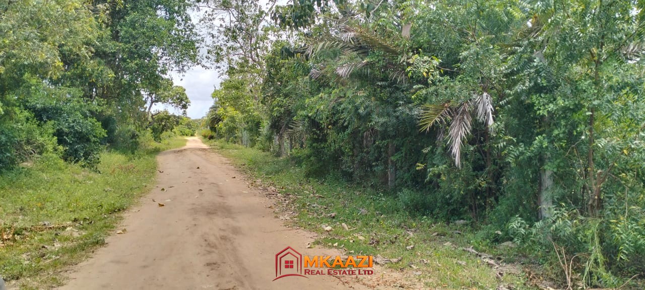 Quater Acre Kakuyuni (8) Affordable Quarter-Acre Plots for Sale in Kakuyuni, Malindi – KSh 950,000