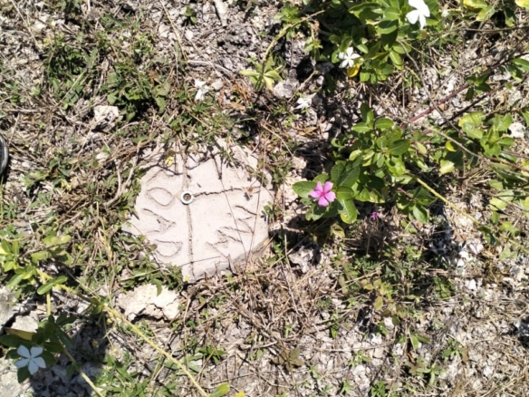 Prime ¼ Acre Land for Sale off Kanani Road, Watamu – KSh 3.5 Million