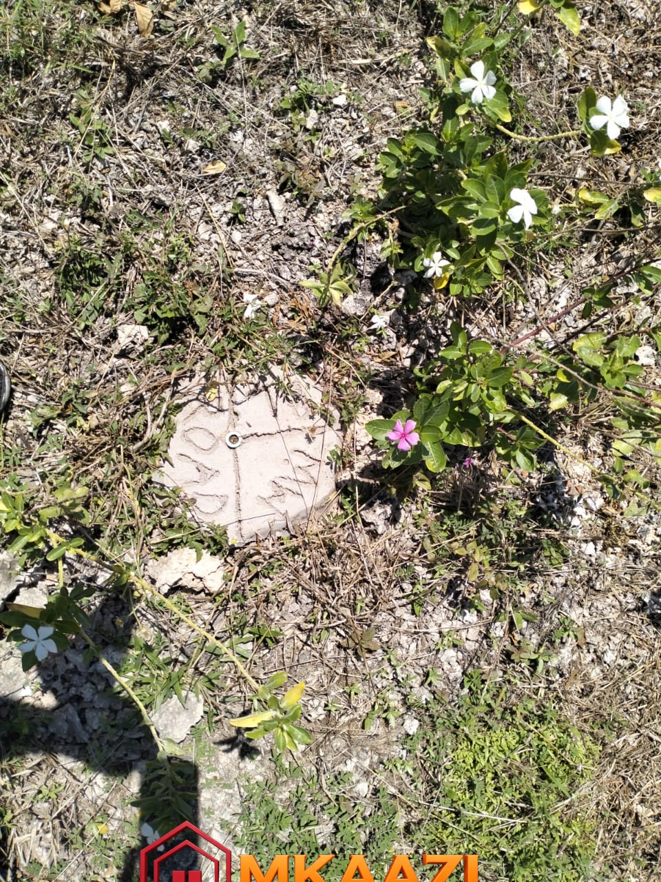 Quater Acre Kanani (5) Prime ¼ Acre Land for Sale off Kanani Road, Watamu – KSh 3.5 Million