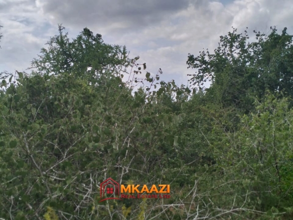 50,429-Acre Ranch for Sale in Kilifi County | Galana River | KES 150K/Acre