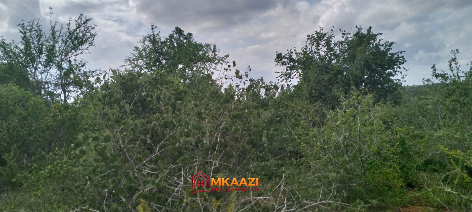 Ranch 50429 (9) 50,429-Acre Ranch for Sale in Kilifi County | Galana River | KES 150K/Acre