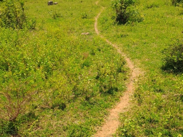 Plot for sale in Takaungu