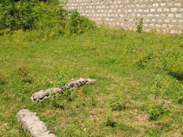 Plot for sale in Takaungu