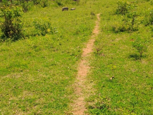 Plot for sale in Takaungu