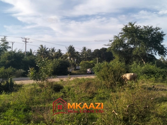 Quarter-Acre Plot for Sale in Kizingo, Watamu – On Tarmac | KES 3M