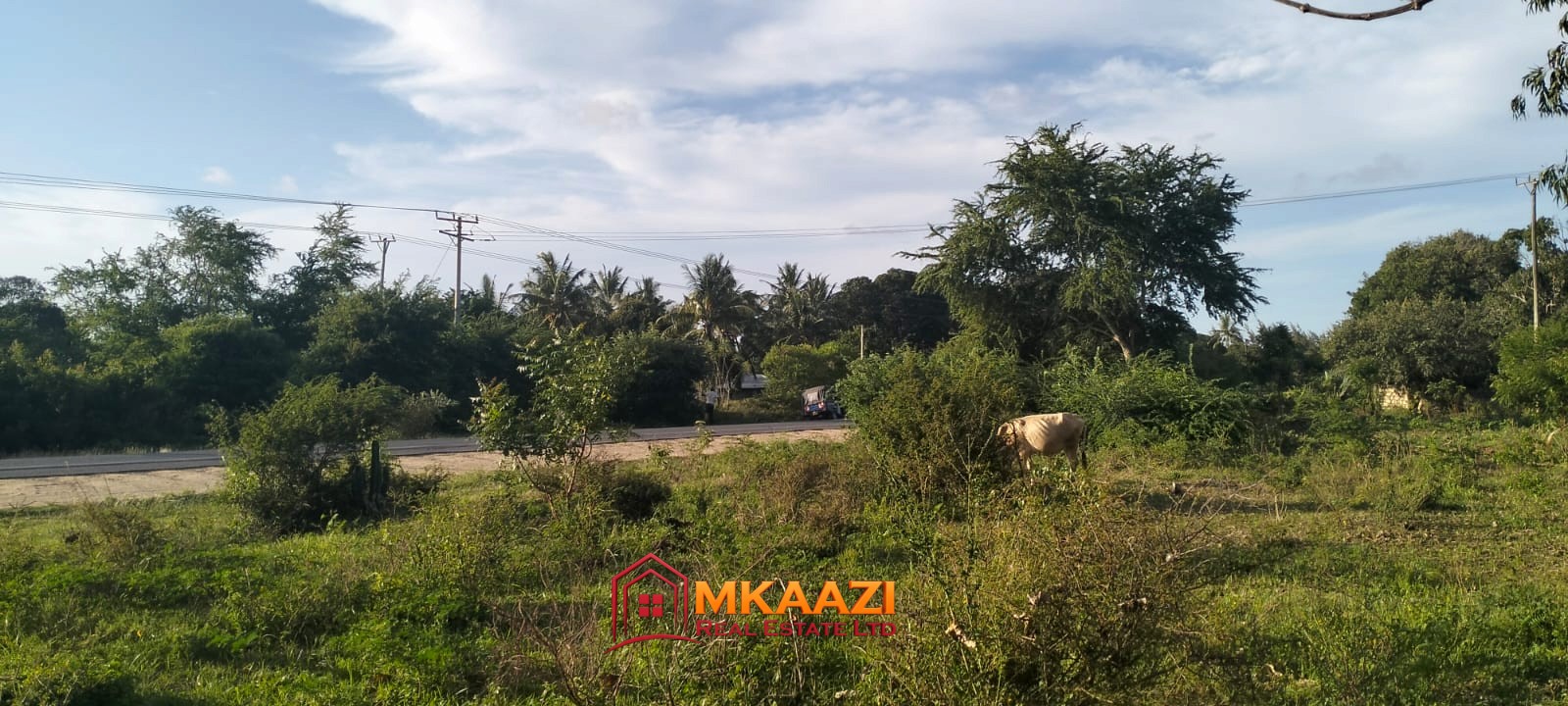 Watamu Kizingo (1) Quarter-Acre Plot for Sale in Kizingo, Watamu – On Tarmac | KES 3M