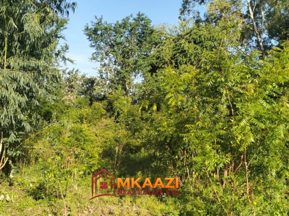 Quarter-Acre Plot for Sale in Kizingo, Watamu – On Tarmac | KES 3M