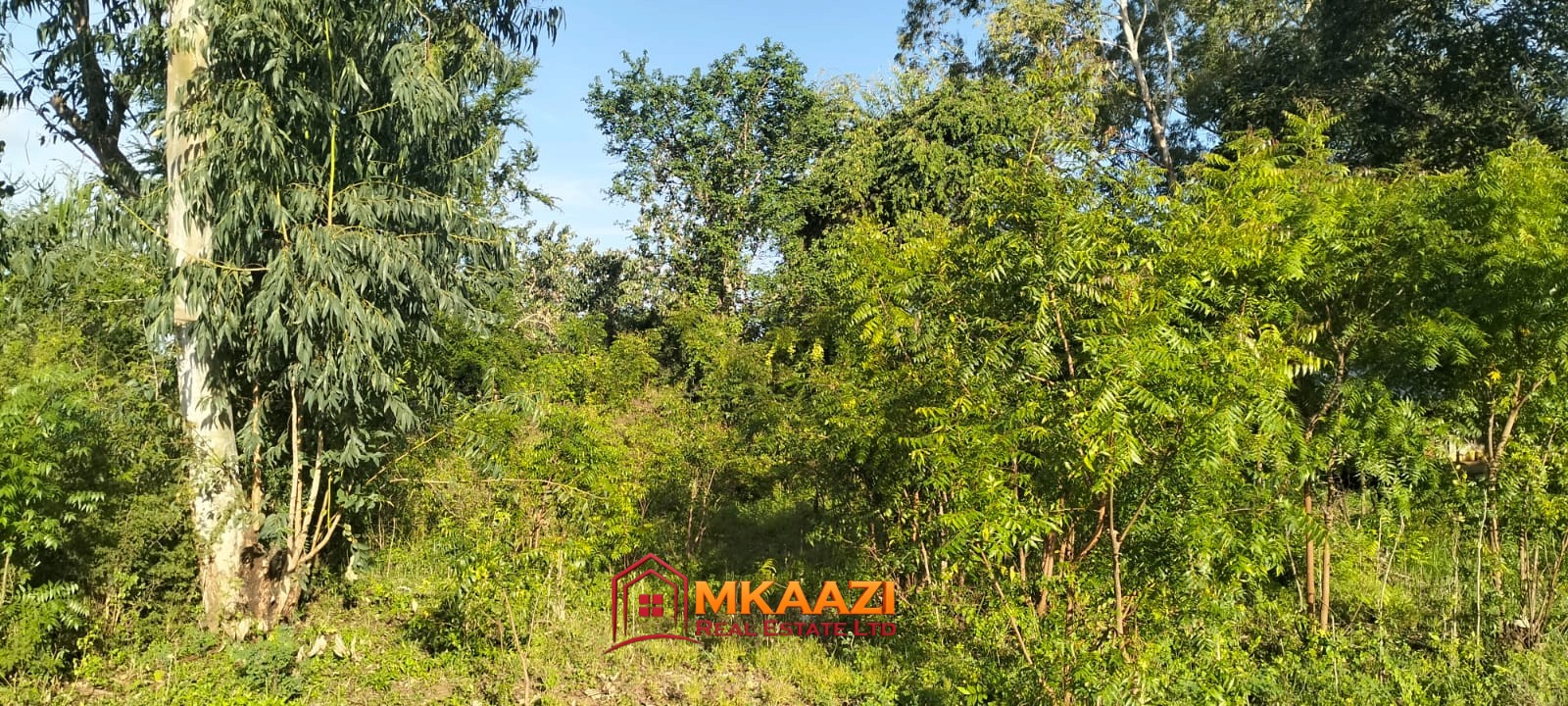 Watamu Kizingo (2) Quarter-Acre Plot for Sale in Kizingo, Watamu – On Tarmac | KES 3M