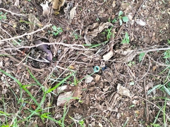 Quarter-Acre Plot for Sale in Kizingo, Watamu – On Tarmac | KES 3M