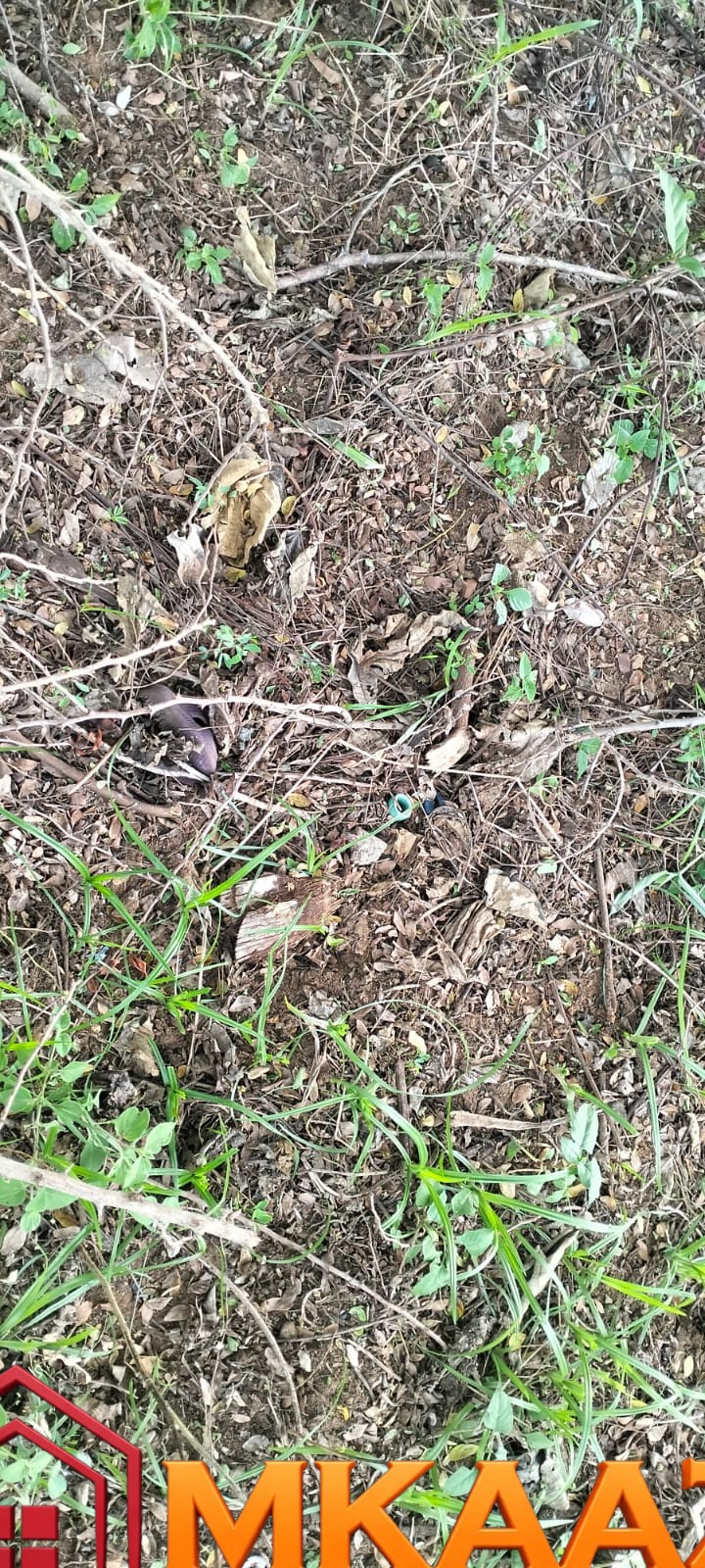 Watamu Kizingo (3) Quarter-Acre Plot for Sale in Kizingo, Watamu – On Tarmac | KES 3M